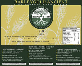 Barley Gold Ancient Sticker Label Multilanguage (web).jpg