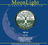 Moonlight WEB.jpg