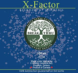X Factor WEB.jpg