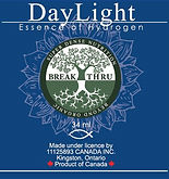 Daylight WEB.jpg